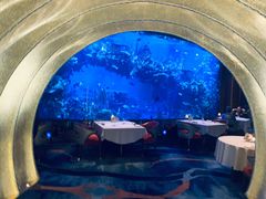 -迪拜帆船酒店海底餐厅