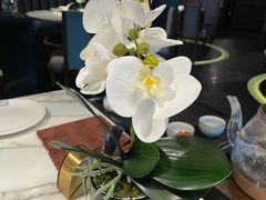 -钟菜·粤菜点心·宴请(海上世界·汇港二期店)