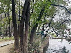 -东湖落雁景区