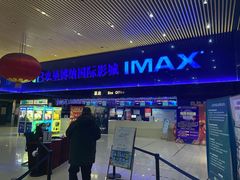 -农垦博纳国际影城(津奥广场IMAX店)