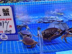 -驻海渔市(置信店)