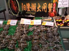 -AEON永旺(东方宝泰店)