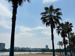 -金沙湖公园