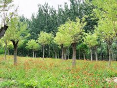 -东郊湿地公园