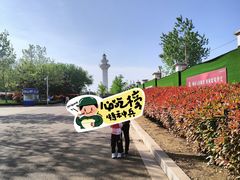 -日照灯塔风景区