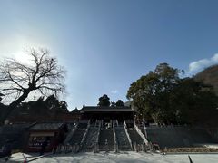 -报恩寺(平武县)