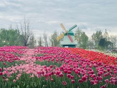 -北京国际鲜花港