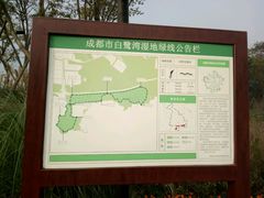 -白鹭湾湿地公园