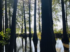 -东湖落雁景区