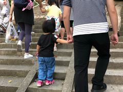 -上海佘山国家森林公园东门地面停车场