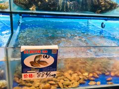 水产区-南海渔家•海鲜•正宗海南菜(海棠湾店)