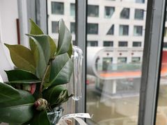 -蔓兰家的四季S0餐厅·融合菜(当代MOMA店)