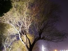 -南京市规划建设展览馆