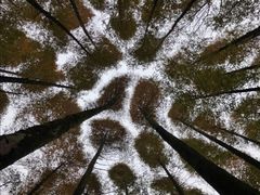 -山王坪喀斯特国家生态公园