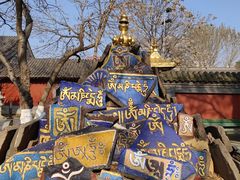 -护国法轮寺