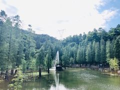 -广州市帽峰山景区