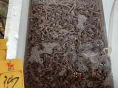 -凤城·食都