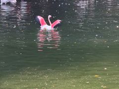 -九龙公园