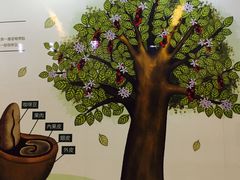 -巴厘岛黄金金兔咖啡工厂