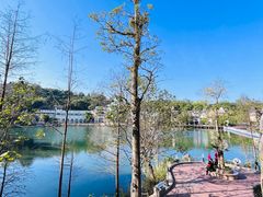 -深圳东部华侨城茵特拉根酒店