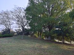 -大蜀山国家森林公园