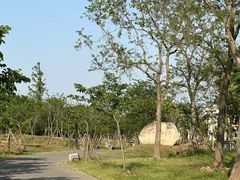 -上海海湾国家森林公园