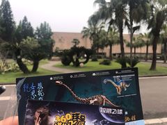 -自贡恐龙博物馆