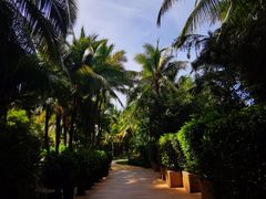 -三亚湾海居铂尔曼度假酒店