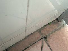 -桂林市花鸟市场