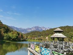 -田野绿世界