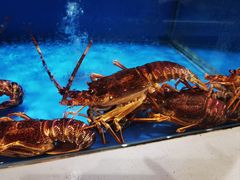 -北塘海鲜·天津菜(大光明桥旗舰店)