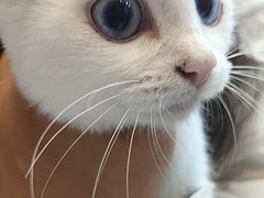 -联合动物医院(光谷诊疗中心)