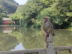 -黔灵山公园