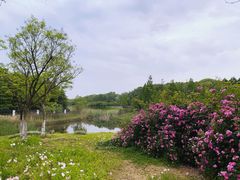 -尚贤河湿地
