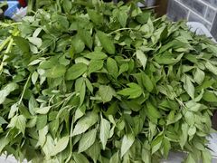 -攀枝花野菜铜火锅(万科凯德店)