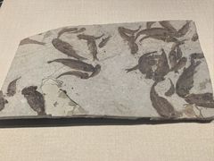 -大连金州博物馆