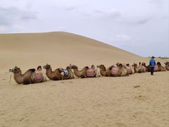 -银肯塔拉沙漠生态旅游景区