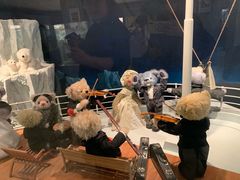 -济州岛泰迪熊博物馆