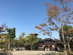 -上海东方佘山翰悦阁酒店·Vie全日制餐厅