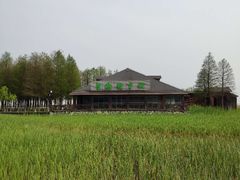 -太湖湖滨国家湿地公园-停车场