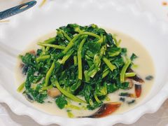 上汤豆苗-金米箩大酒店(五角场店)