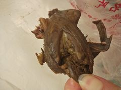 -黎里王记辣脚(黎里总店)
