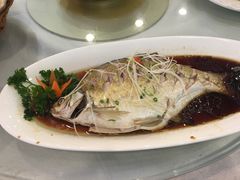 武昌鱼-田园小观园(武大店)