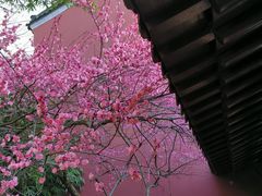 -钱王祠