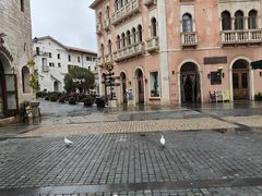 -华谊兄弟（长沙）电影小镇