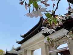 -苏州上方山国家森林公园