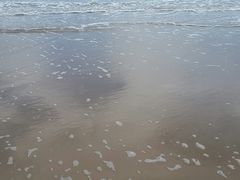 -南戴河旅游度假区