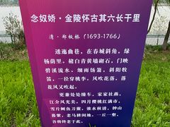 -南京眼步行桥