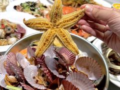 -悦海·家宴·冰花皮皮虾大锅贴(宝龙店)