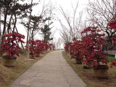 iphone_upload_pic-秀丽东方